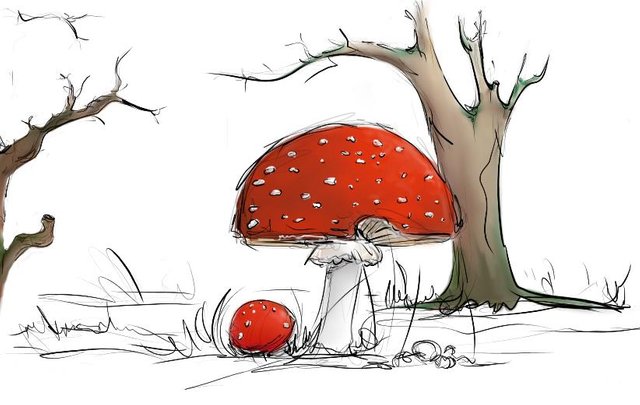 Amanita drawing 1.jpg