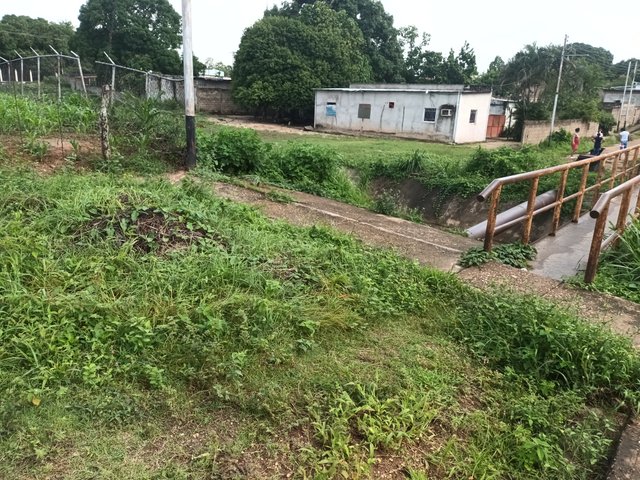 20250706_165144.jpg