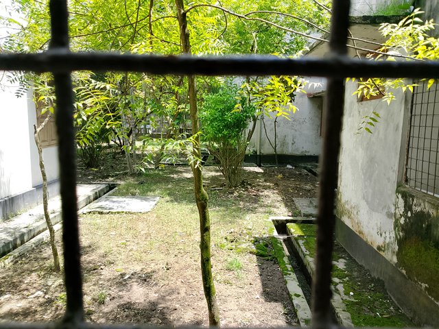 1000047712.jpg