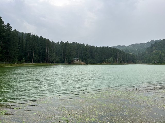 IMG_4057.jpeg
