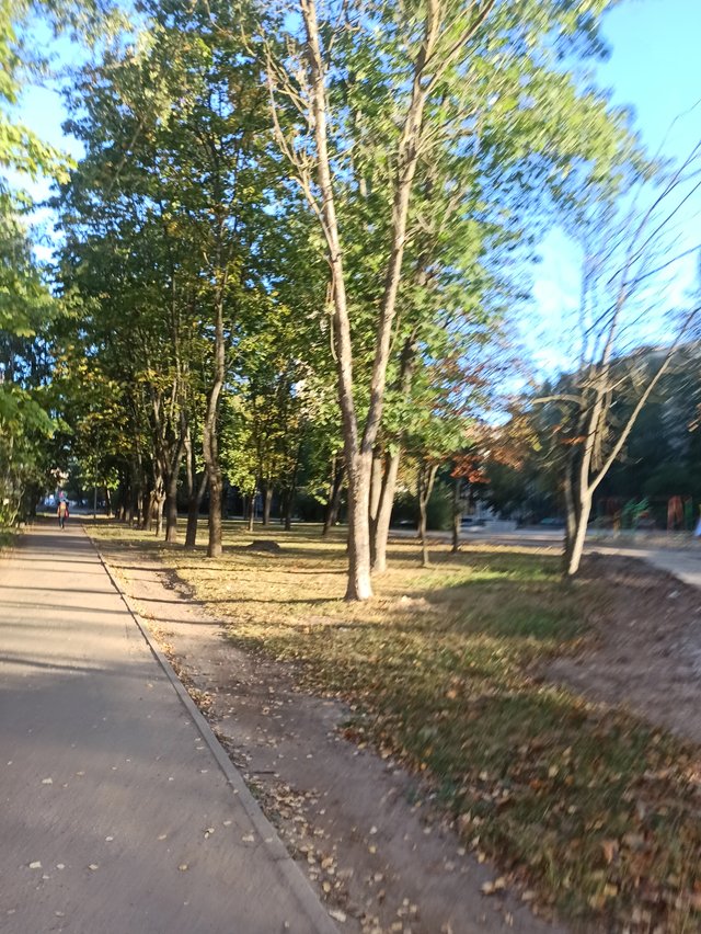 IMG_20250926_081133.jpg