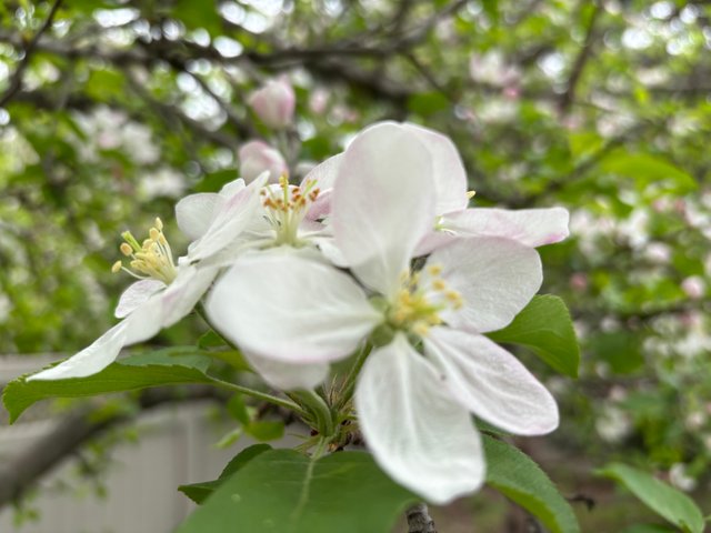 IMG_2835.jpeg