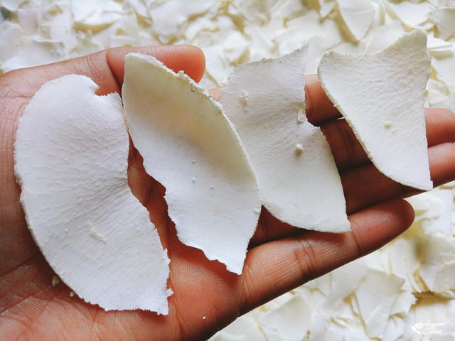 Cassava Slices4.jpg