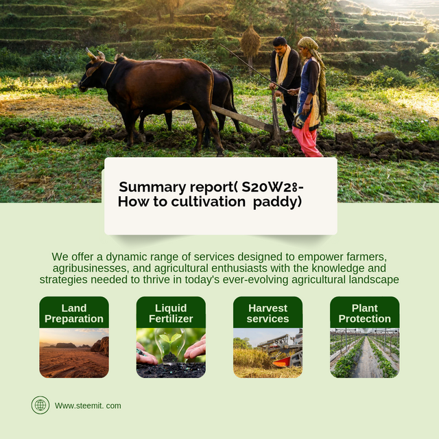Yellow and Green Refined Scrapbook Agriculture Business Promo Instagram Pos_20240924_060554_0000.png