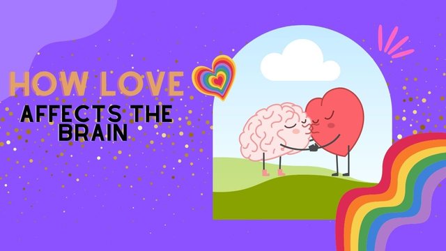 How love affects the brain.jpg