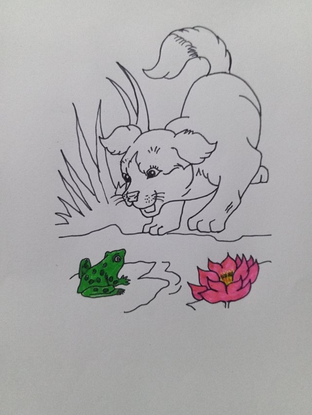 1000106539.jpg