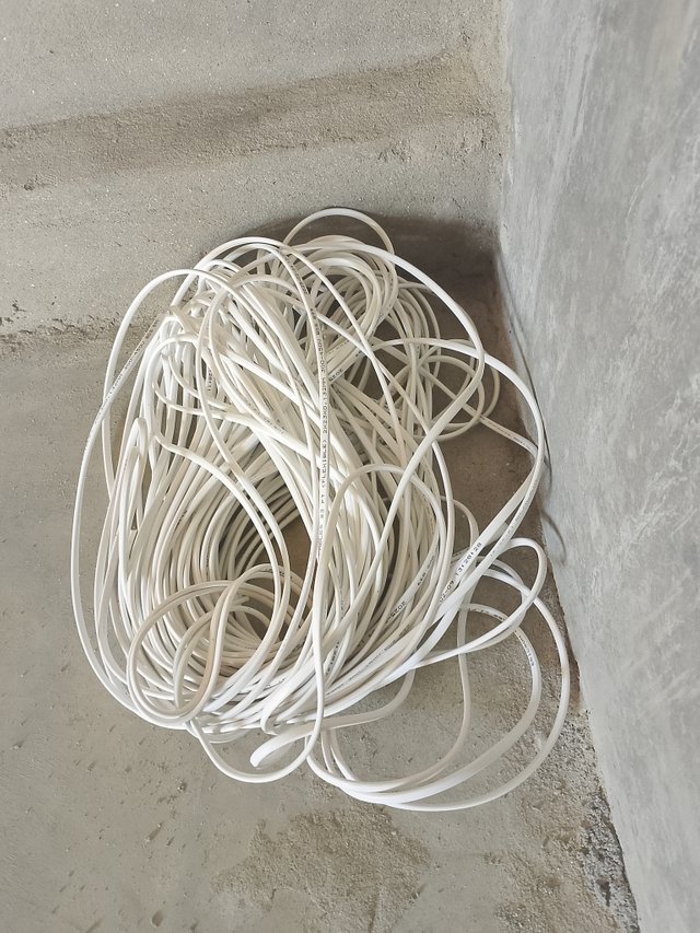 1000046188.jpg