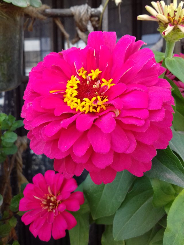 20190221_144029.jpg