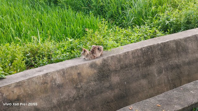 IMG_20250622_073653.jpg