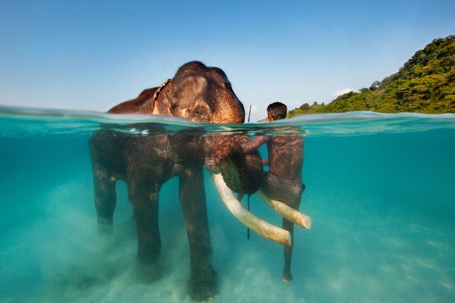 andaman india.jpg