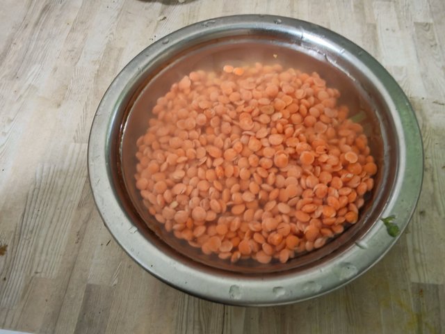 3903.jpg