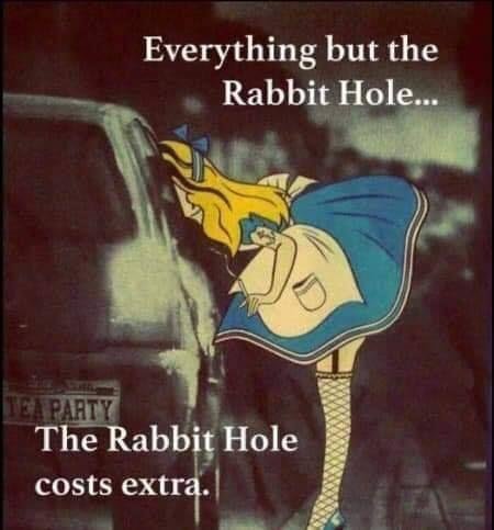 ALice Wonderland Prostitute Rabbit Hole Costs Extra.jpeg