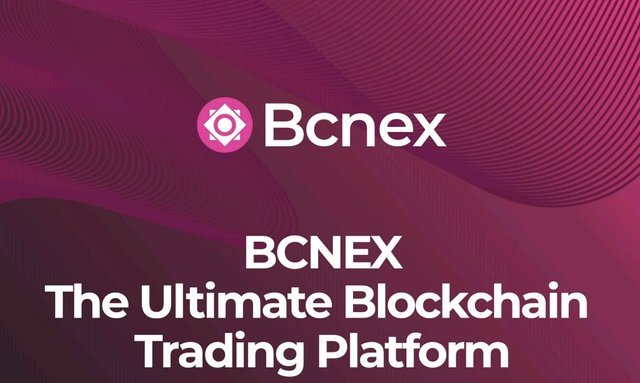 Bcnex Logo 3.jpg