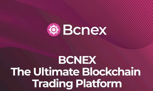 bcnex logo.jpg