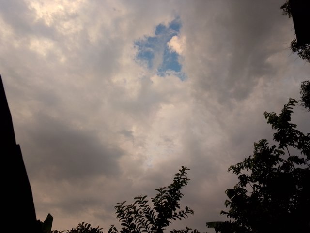 IMG_20250812_184459_672.jpg