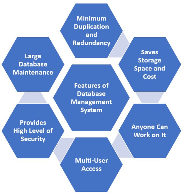 Features-of-Database-Management-System-.jpg