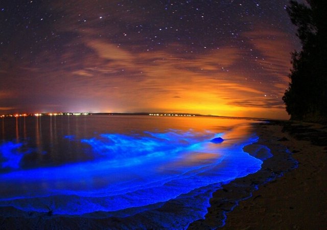 jervis-bay-hyams-beach-bio-luminescence-photos-tourism-lol-news-luggage-online-travel-photos.jpg