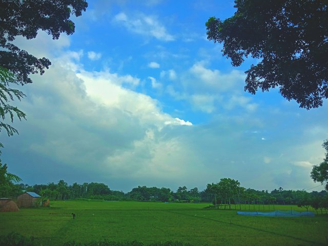 IMG_20250626_184246.jpg