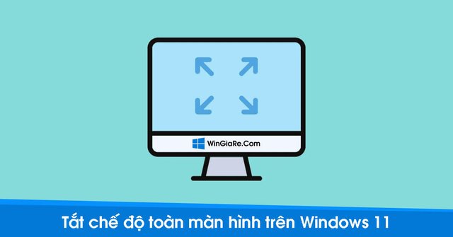 tat che do toan man hinh windows 11.jpg