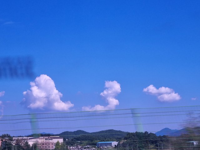 20250801_153621.jpg
