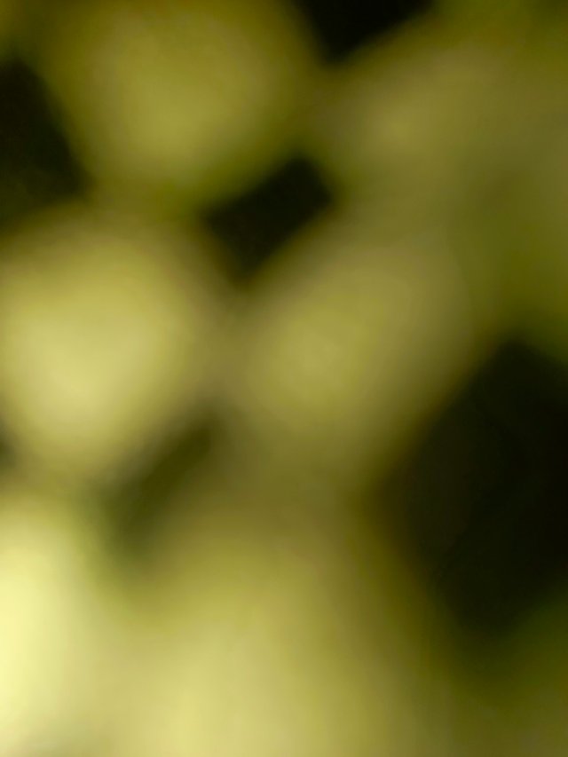 1000664791.jpg