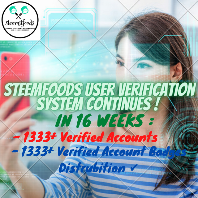Verification System 16th Week (1).png