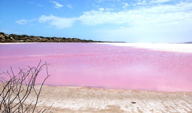 Pink-Lake-Australia.jpg