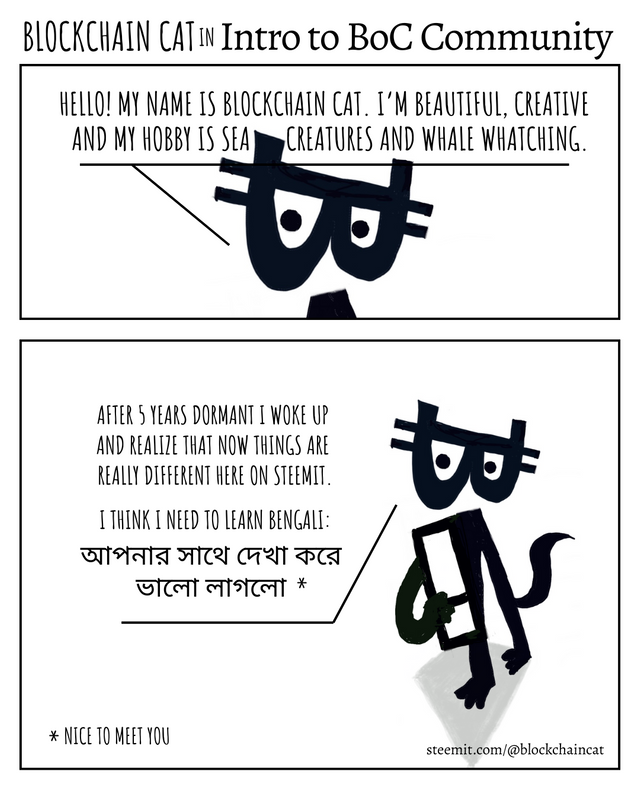 Blockchain Cat - introduction to BoC Community.png