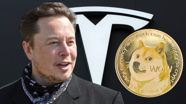 tesla-doge.jpg