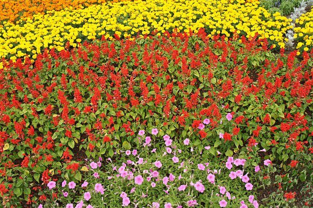 Japan-Hokkaido12802-1274.jpg