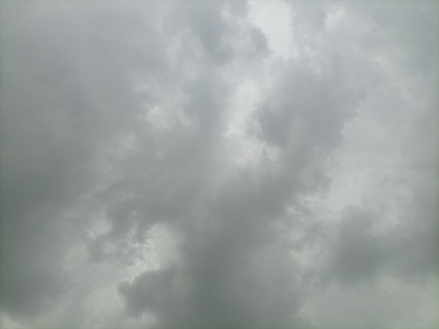 IMG_20250603_145707_496.jpg