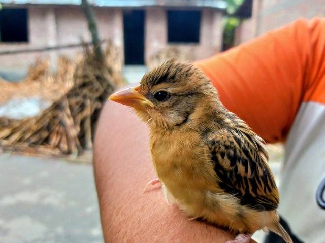 20250711_102535~2.jp