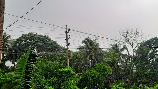 20250602_110025.jpg