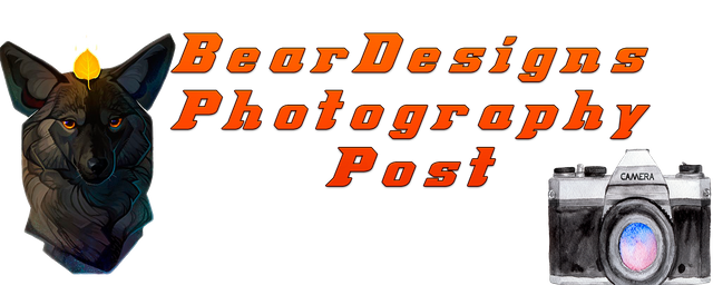 separador posts steeemit Photography 5.png