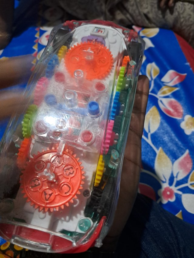20250601_184412.jpg