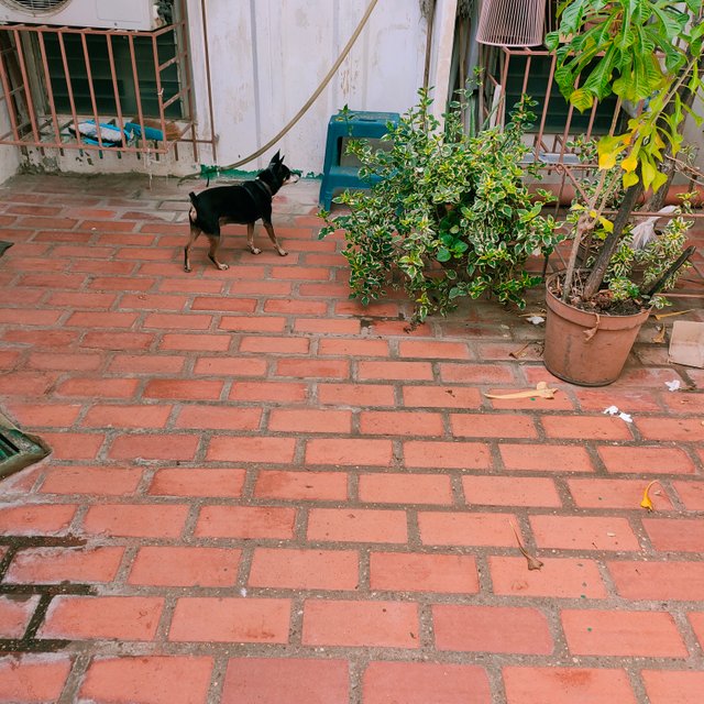 IMG20201022080603.jpg