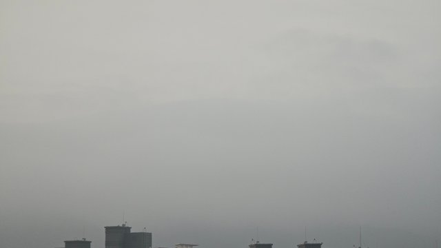 1000138916.jpg
