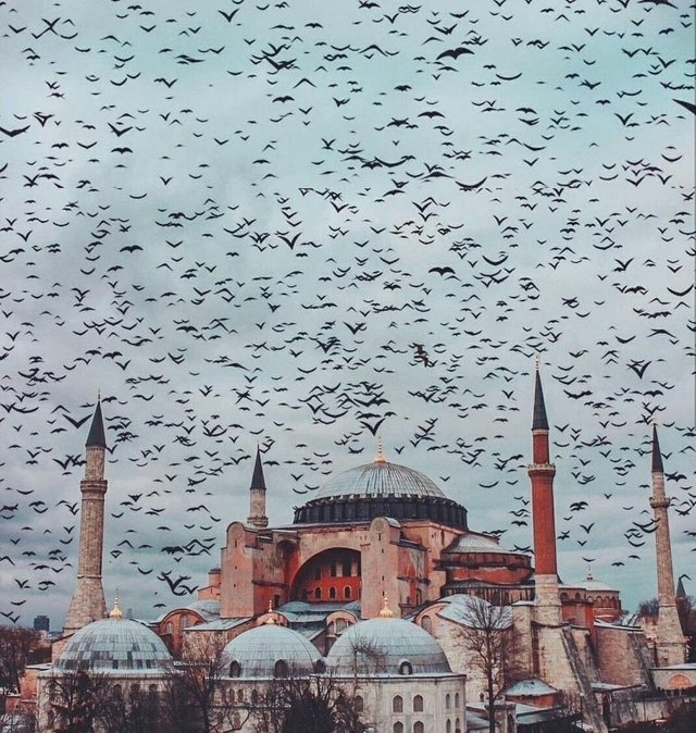 ayasofya.jpeg