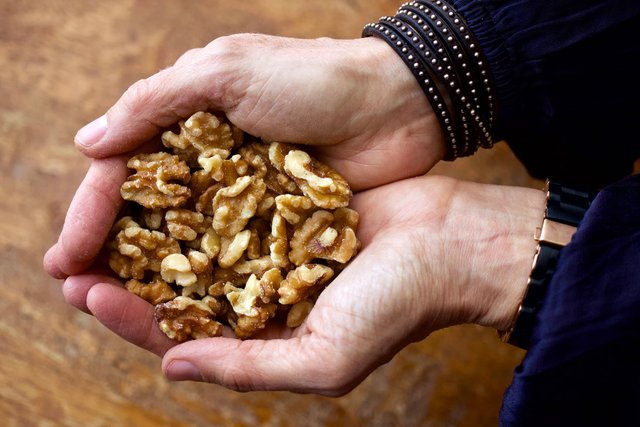 1800ss_getty_rf_hands_holding_walnuts.jpg