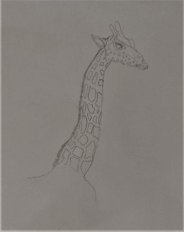 WhatsApp Image 2023-08-16 at 22.33.41 (2).jpg