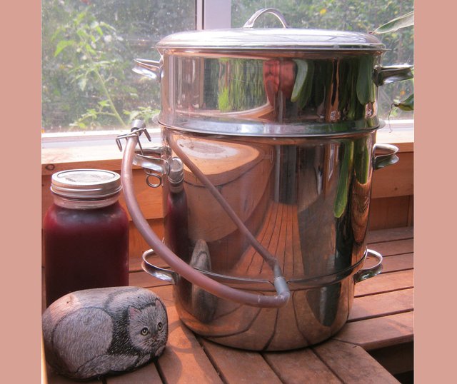 steam juicer and jar of chokecherry juice.JPG