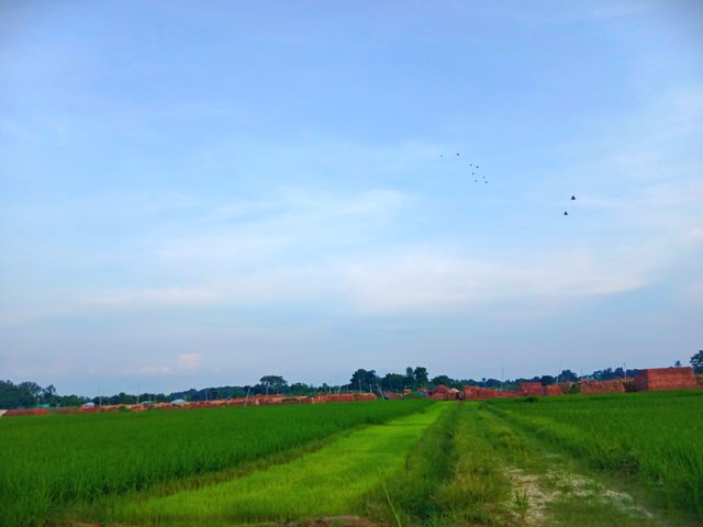IMG_20250728_202755.jpg