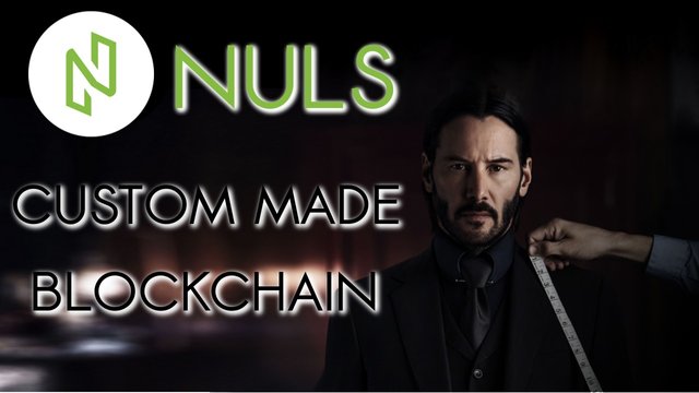 Nuls cover.jpg