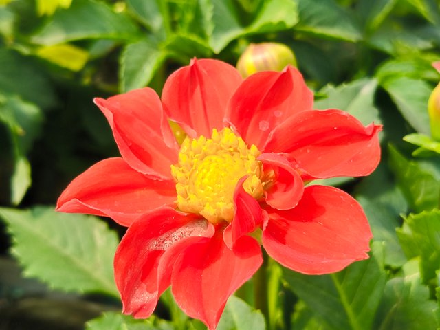 IMG20250122111825.jpg
