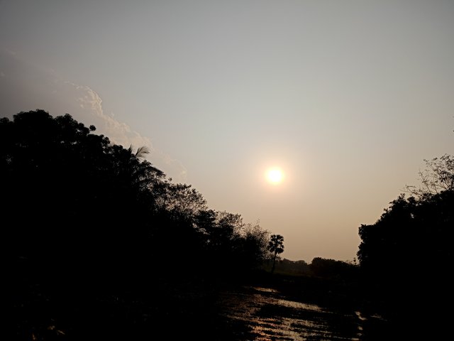 IMG20240322165726.jpg