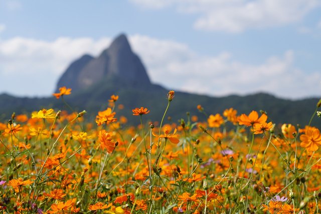 maisan-provincial-park-6693310_1280.jpg