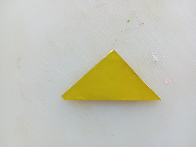 1000039062.jpg