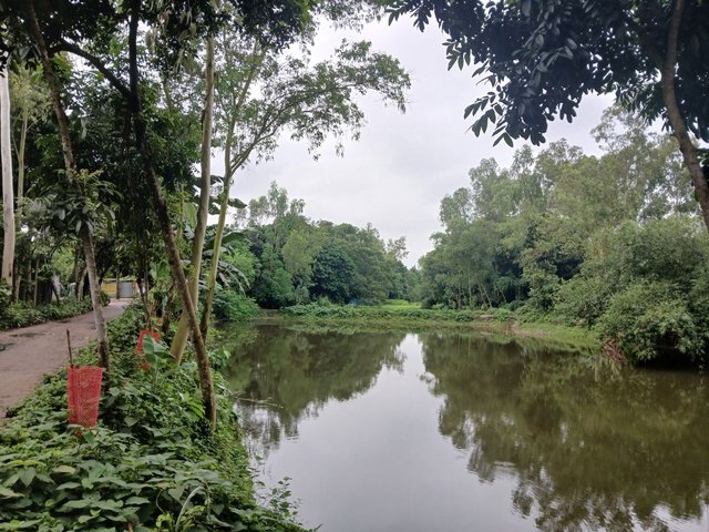 1000057480.jpg
