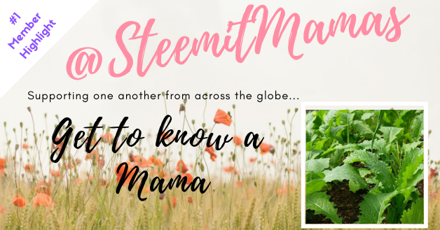Steemitmamas Member Highlight #1.png