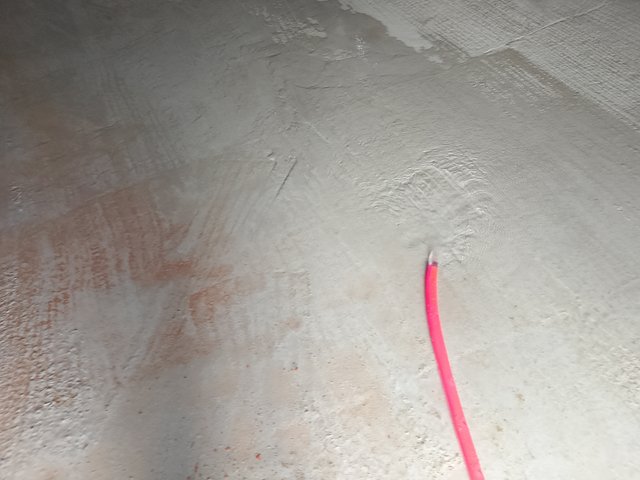 1000046300.jpg